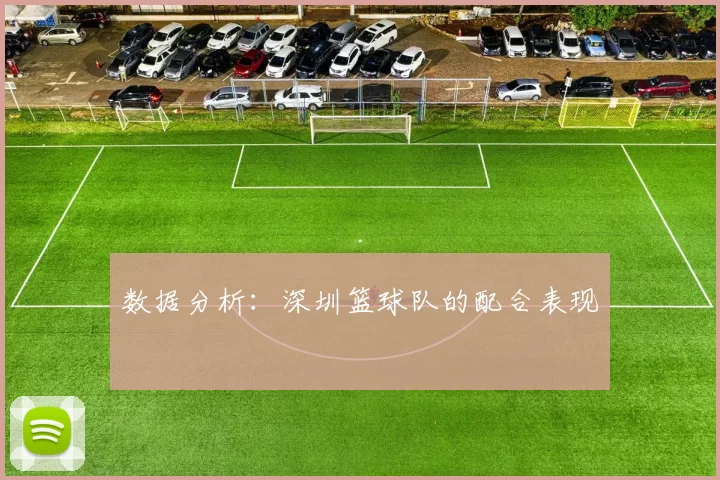 数据分析：深圳篮球队的配合表现