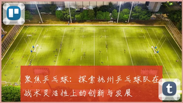 聚焦乒乓球：探索杭州乒乓球队在战术灵活性上的创新与发展