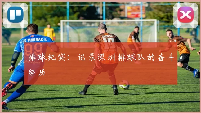 排球纪实：记录深圳排球队的奋斗经历