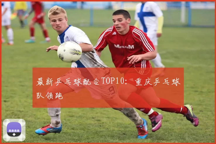 最新乒乓球配合TOP10：重庆乒乓球队领跑