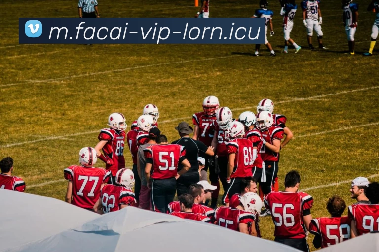 开云体育服务体系